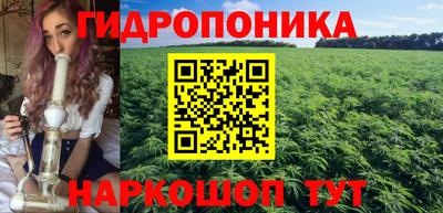 шишки Обь