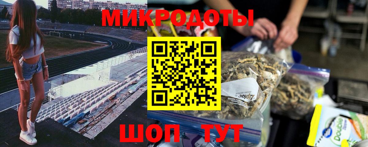 Галлюциногенные грибы Psilocybe Сызрань